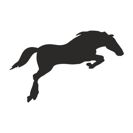 Naklejka wycinana N16 koń