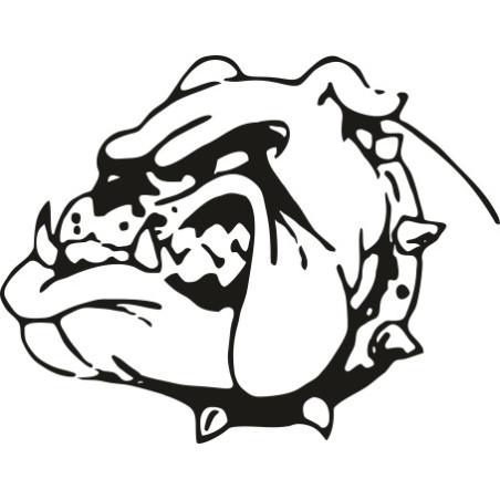 Naklejka wycinana N28 pitbull