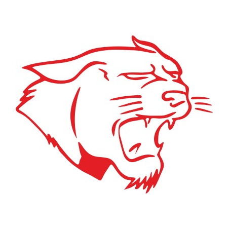 Naklejka wycinana N33 ryś