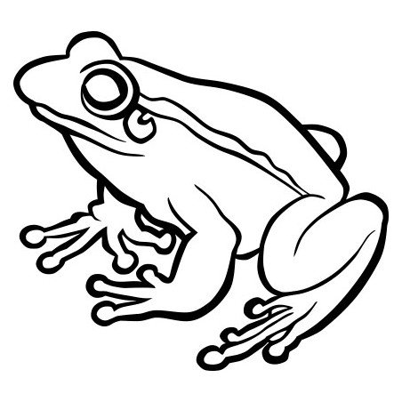 Naklejka wycinana N70 żaba O