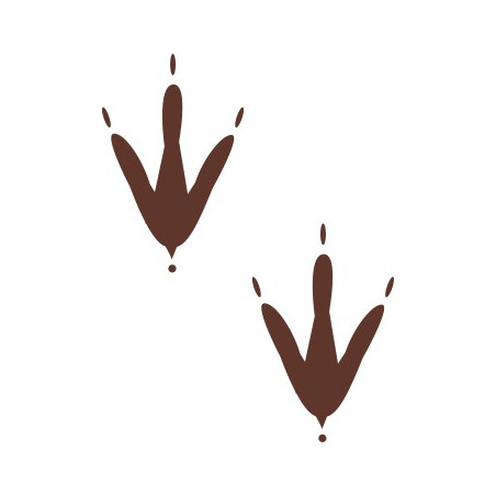 Naklejka wycinana N73 trop