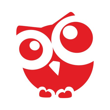 Naklejka wycinana N94 sowa O