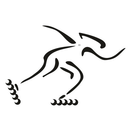 Naklejka ścienna, na ścianę, dekoracyjna N31 rolkarz 02