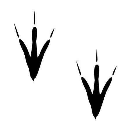 Naklejka ścienna, na ścianę, dekoracyjna N76 trop