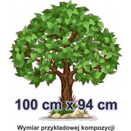 Naklejka ścienna - kolorowe drzewo SD03 drzewo lato