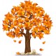 Naklejka ścienna - kolorowe drzewo SD04 drzewo jesień
