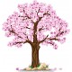 Naklejka ścienna - kolorowe drzewo SD05 drzewo wiosna