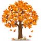 Naklejka ścienna - kolorowe drzewo SD04a drzewo jesień