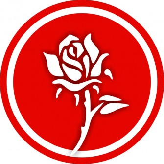 Naklejka - Biała Róża - DE14