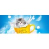 Fototapeta Kotek Coffee and milk 266x100 cm FTE08 - klej gratis
