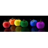 Fototapeta Kolorowe Pomidory 300x100 cm FTE25 - klej gratis