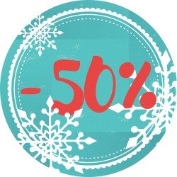 Naklejka na witrynę - W04i50 płatki -50%