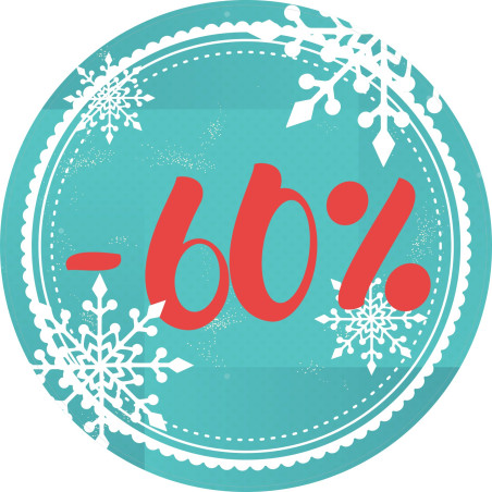 Naklejka na witrynę - W04i60 płatki -60%