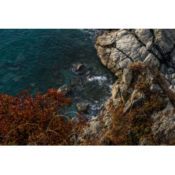 Skarpa- obraz na płótnie