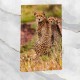 Gepard- obraz na płótnie