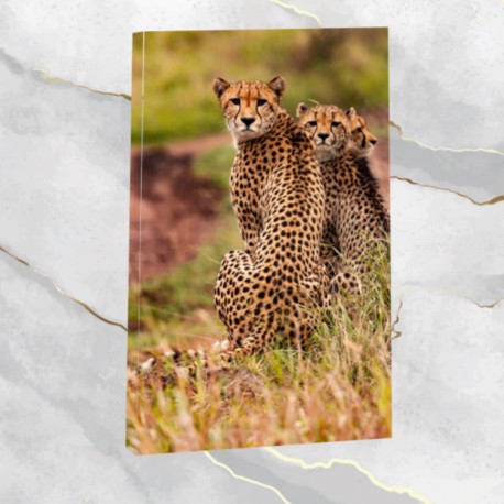 Gepard- obraz na płótnie