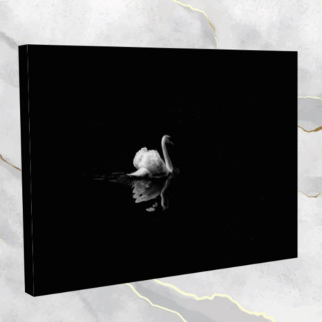 Łabędź- obraz na płótnie