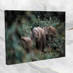 Słonie w dżungli- obraz na płótnie