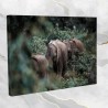 Słonie w dżungli- obraz na płótnie