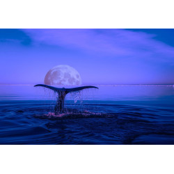 Wieloryb- obraz na płótnie
